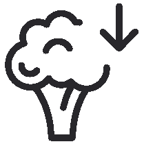 Outlined image of a broccoli